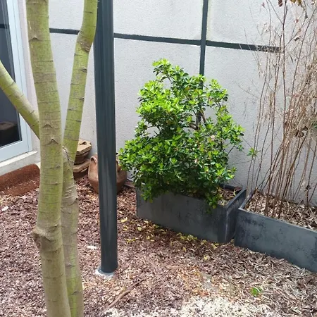 Διαμέρισμα D'alo *